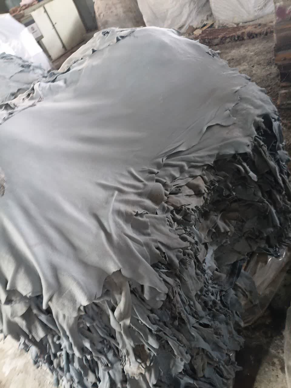 Wet Blue Sheep Skin
